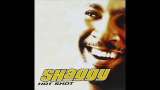 Shaggy - Not Fair (Instrumental)