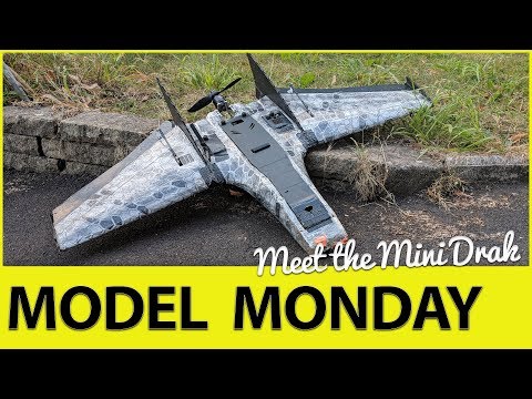 Meet The Ritewing Mini Drak - Model Monday #1