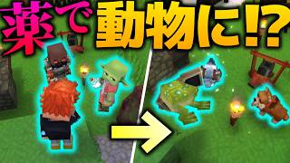 【Hytale】ポーションを作って飲んだら、体がカエルに変化しました・・・w/四角RPG Part4【ゆっくり実況】