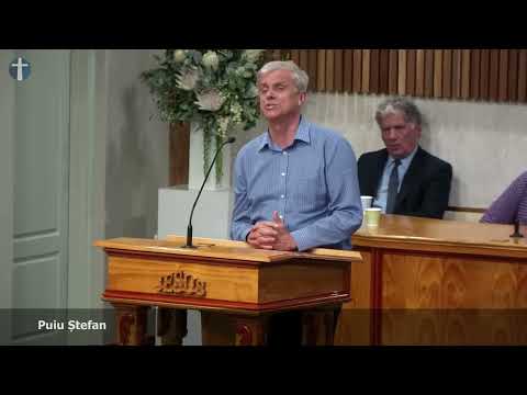 Puiu Ștefan || Mărturie personală