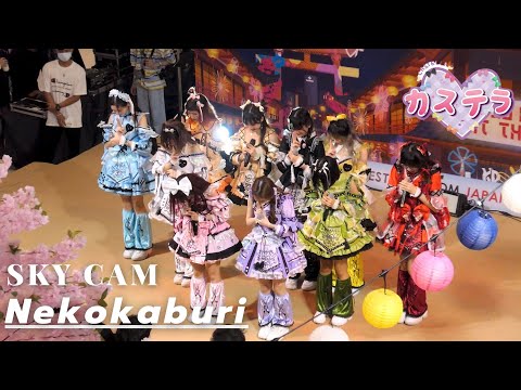 Castella - Nekokaburi [Sky Cam] @ Thaniya Illumonation Aidoru Matsuri #6 | 230212