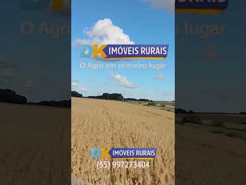 🚜 Arrendamento Rural no RS | Áreas de 200 a 4.500 Hectares 🌾