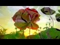 NANA MOUSKOURI FOUR AND TWENTY HOURS