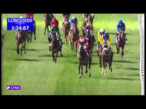 07.02.2013 Meydan (Dubai-UAE) 3.Race Meydan Classic Trial - 1.400 m