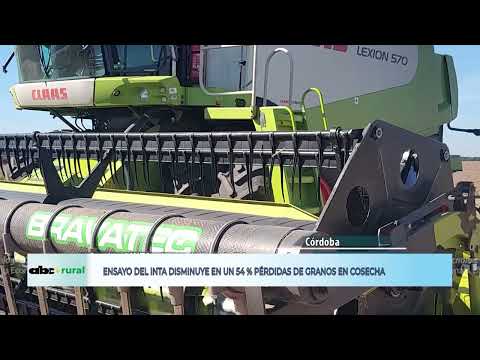 Sistema de aire forzado evita 54 por ciento de pérdidas en cosecha