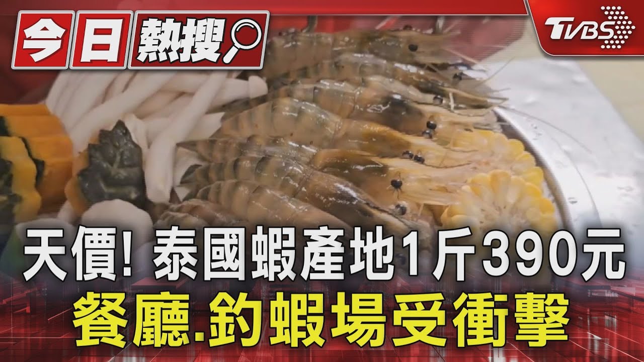 天價！泰國蝦產地1斤390元　餐廳、釣蝦場受衝擊