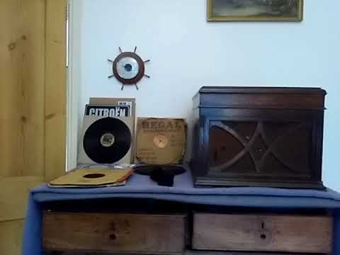 Hollywood Dance Orchestra: In a Shady Nook, By a Babbling Brook.