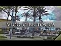 ВЛОГ : показываю вам окрестности городка Cerritos в Калифорнии, гуляю в Молле, США ...