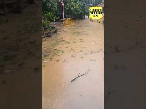 කැළණි විහාරය ගංවතුරෙන් යටවෙයි පන්සලේ හාමුදුරුවන් සිදුවු විපත හෙලිකරයි/ Kelaniya Temple