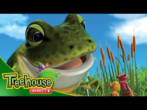 Miss Spider | Secret Frog – Ep.24 - Kids TV Series, Kingdom Kids Zone - Treehouse Direct