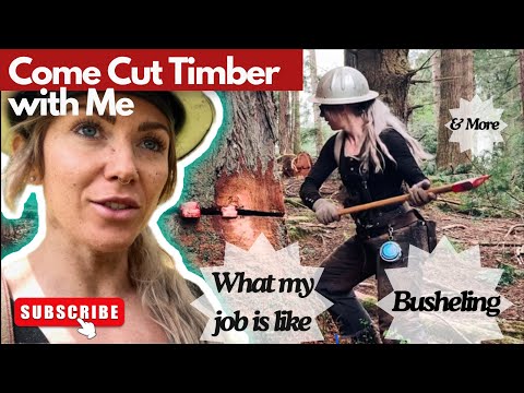 My Job as a Timber Faller! Discussing what my job is like, busheling, how I get paid, & more!