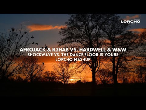 Afrojack & R3hab vs. Hardwell, W&W - Shockwave vs. The Dance F. (Lorcho Mashup)