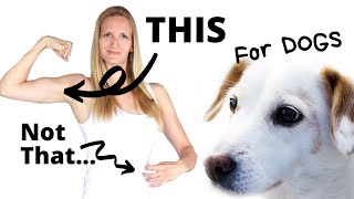 Weight Gain for Dogs - The Healthy Kind 💪