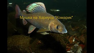 Комарики для ловли хариуса
