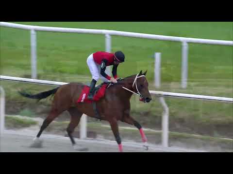 221015 c03 ALTO VUELO