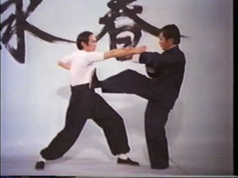 Wing Chun Basic Techniques part 2