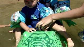 twins riding crocodile