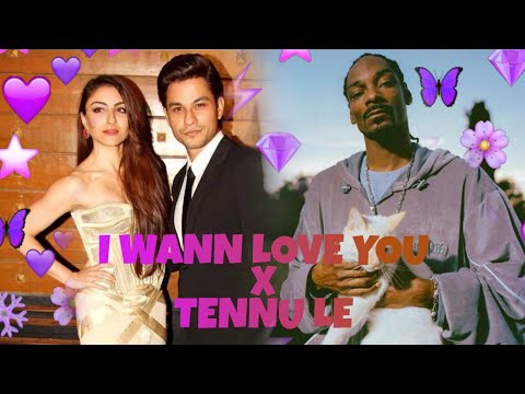 I Wanna Love You X Tennu Le [Mashup] | Tashif | Akon | Snoop Dog | Instagram Viral Reel 2022