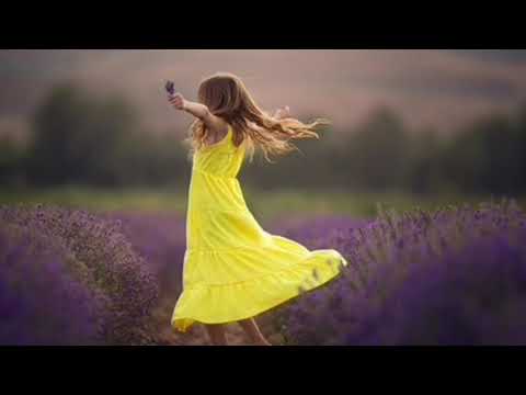 Simple Gifts - Yo Yo Ma & Alison Krauss