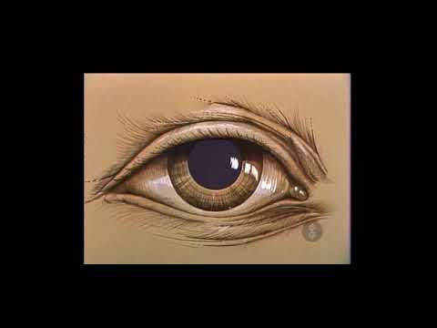 TPIR: An Eye Catching Showcase