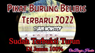 Download lagu PIKAT BURUNG BELIBIS TERBARU 2022 mp3