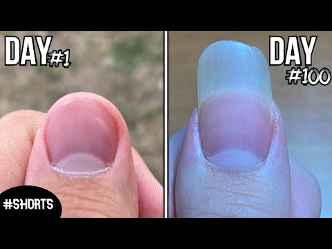 100 Days Of Fingernail Growth - Time Lapse #shorts
