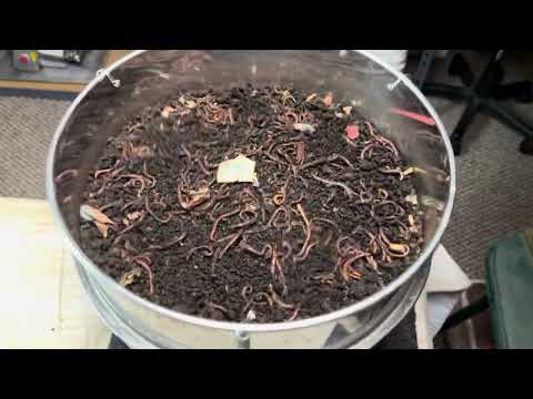 Downsizing Breeder Bins, Castings Sift Out