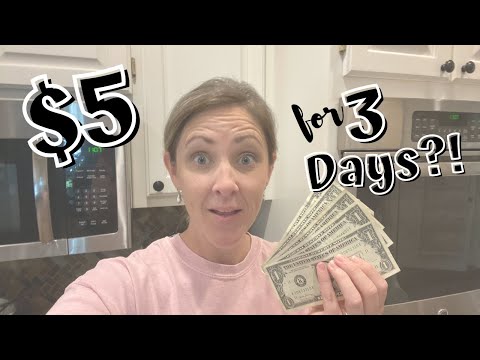 EXTREME BUDGET GROCERY CHALLENGE // $5 FOR 3 DAYS OF MEALS!