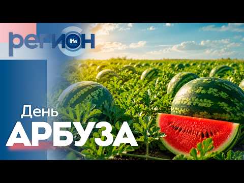 День арбуза | ОТС LIVE — прямая трансляция