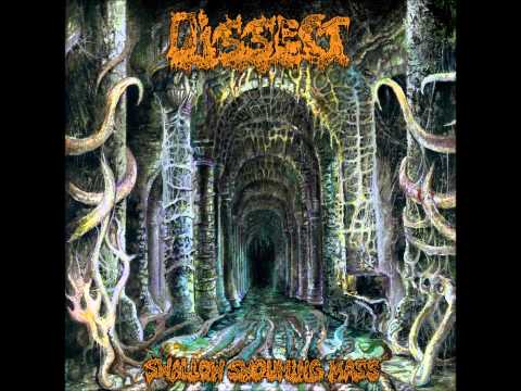 DISSECT - Gals of the Eternal Solstice [2013 re-issue]