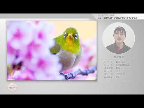 カメラレンズ FE 100-400mm F4.5-5.6 GM OSS G Master ホワイト