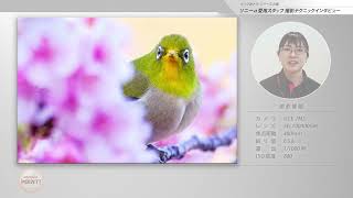 【ビックカメラ】シリーズ企画　ソニー α愛用スタッフ 撮影テクニック　「野鳥の一瞬を"確実に捉える"方法」