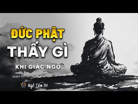 GIÁC NGỘ - Đức Phật Đã Thấy Gì Dưới Cội Bồ Đề | Ngộ Tâm Trí