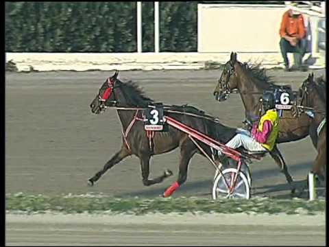 Trotto 17/12/2015 - 2° corsa