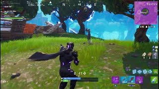 Fortnite*ただのキル