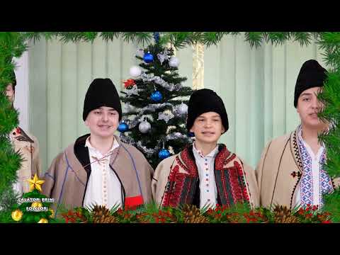 Ionut Naghi, Filip Mut, Mihut, Rares Ivanov, Ianis Vedinas si Octavian  Blaga   Junelu i tinerelu