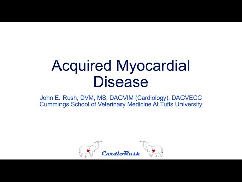 Acquired Myocardial Diseases- CardioRush