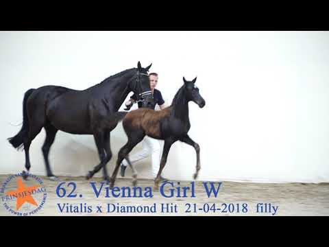 62 Vienna Girl W v. Vitalis x Diamond Hit www.prinsjesdag.eu