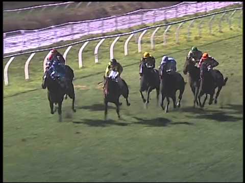 Galoppo 18/01/2015 - 5° corsa