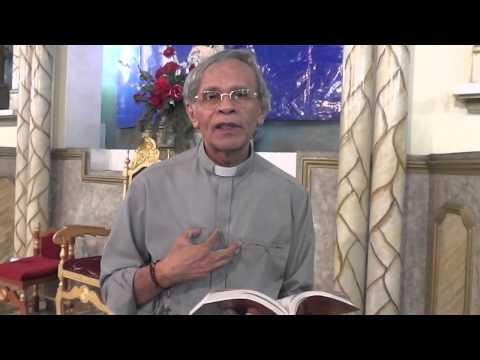 Evangelho do Dia com o Padre João Maria 12 05 2015
