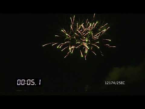 12174/25EC - Cake Ø30mm 25s F-shape 17sec H45m Cat.2 Nec450g 1.4G Winter plum blossom 4/1