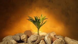 Balance.  Watching, waiting and enduring for that DAY