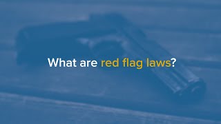 Newswise:Video Embedded what-are-red-flag-laws-and-how-can-they-prevent-gun-violence