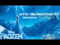 Let It Go [Frozen OST] - Male Vocal Cover 