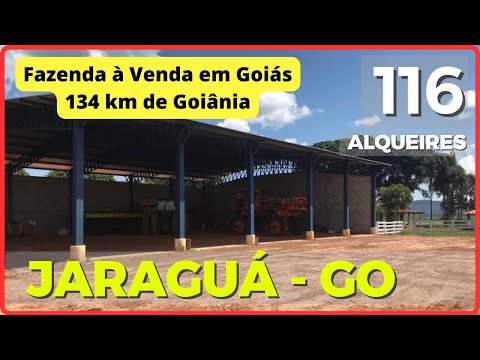 116 ALQ EM JARAGUÁ - FAZENDA A VENDA EM GOIAS [🌱DUPLA APTIDÃO🐄] Zap 62.99972-2000 #agro #fazenda
