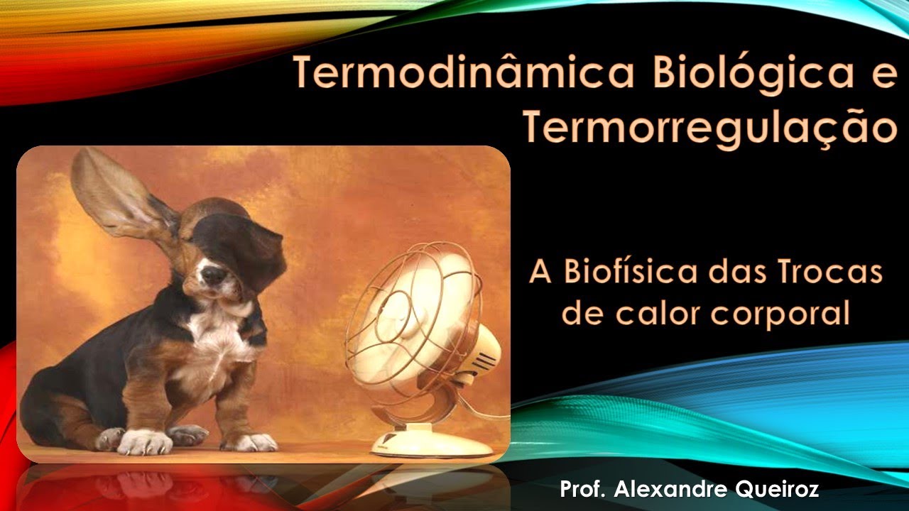 Termodinâmica Biológica