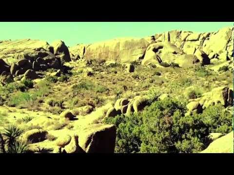 Dziun in US (part I) - Joshua Tree