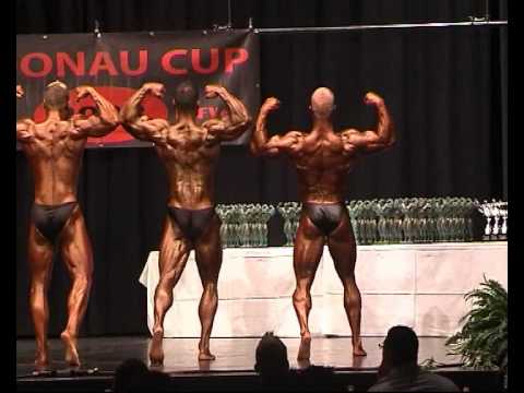 Int. Donau-Cup 15.11.2008 Finale Männer 4 Teil1