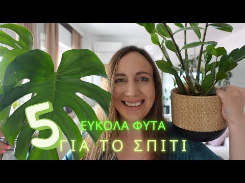 , title : 'Τα 5 πιο εύκολα φυτά για το σπίτι by Plantmama'