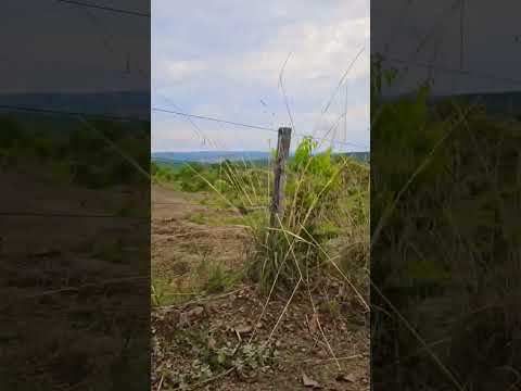 Ágio disponível de chácara no Lago Corumbá 4